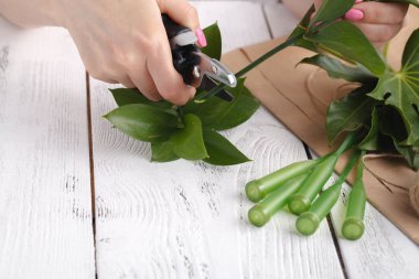 İş yerinde çiçekçi: buket yapmak nasıl