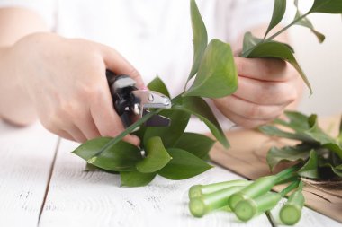 İş yerinde çiçekçi: nasıl Büyükbaba ve Büyükanneler Günü için çiçek düzenleme yapmak.