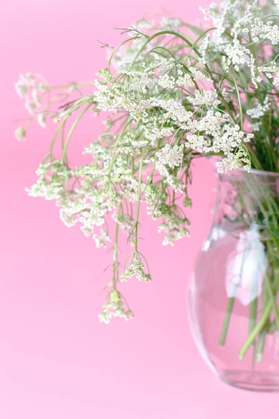 Flores Primavera Pequeñas Fragantes — Foto de Stock