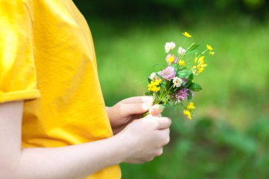 kadın holding kır çiçekleri