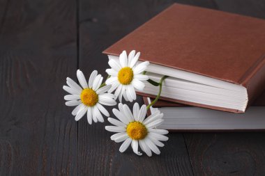 eski kitap üzerinde beyaz papatya buketi 