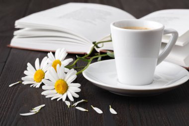 Papatyalar küçük grup ile kitap yığını