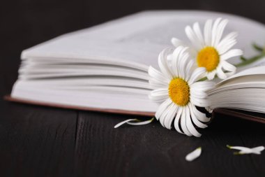 buket çiçek ile kitaplar