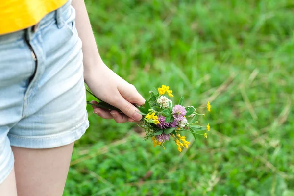 女性の手の野生の花 — ストック写真