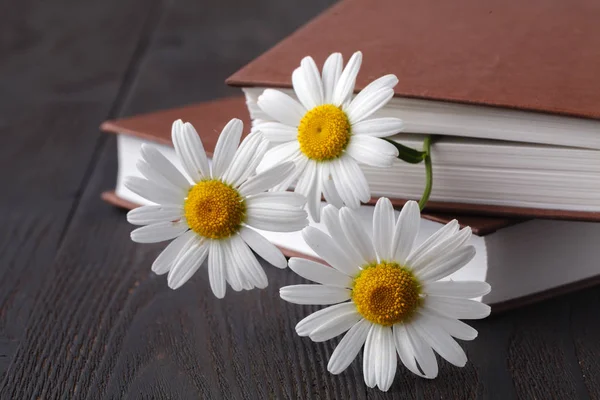 Libros Con Ramo Flores — Foto de Stock