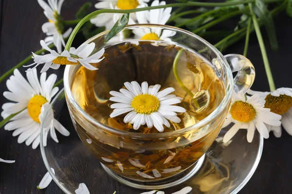 Csésze Tea Gyógynövény Kamilla Friss Százszorszép Virág Háttér Orvos Kezelésére — Stock Fotó