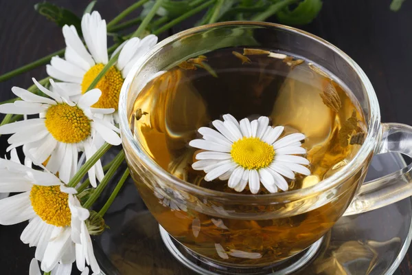 Bir papatya ile bitkisel çay