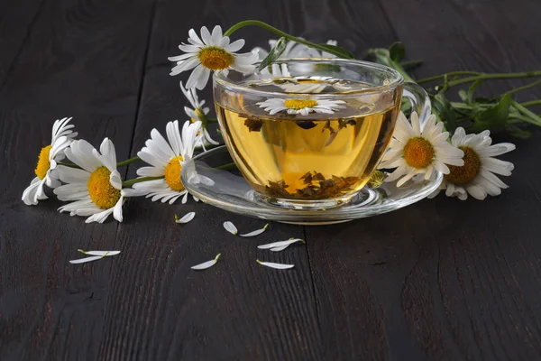 Bir papatya ile bitkisel çay