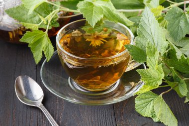 Renkli taze bitkisel demlenmiş çay cam çaydanlık