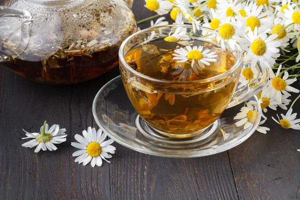カモミールの花とカモミールのお茶の素敵なカップ — ストック写真