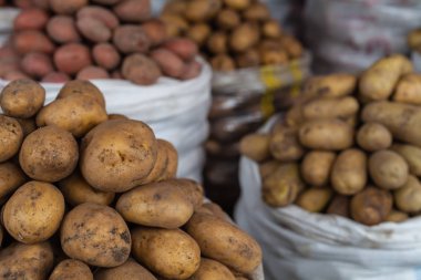 Yerel çiftçilere piyasa, patates, taze organik gıda