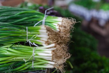 Çiftçi pazarında sergilenen bir demet yeşil soğan