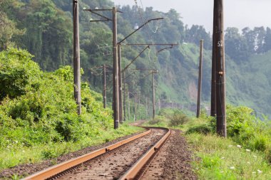 Terk edilmiş tren / eski demiryolu
