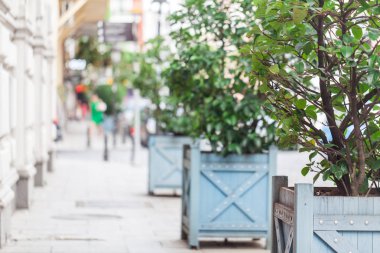 Şehrin boş sokaklarda sabah