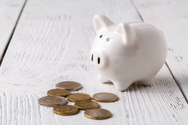 Beyaz domuzcuk bankada para. Kaydetme para kavramı