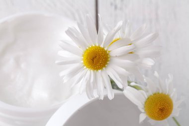 Plastik Konteyner ile hafif bir arka plan üzerinde krem ve papatya çiçek açtı. Bitkisel Dermatoloji kozmetik hijyenik krem. Doğal güzellik ürünü