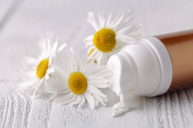 Plastik Konteyner ile hafif bir arka plan üzerinde krem ve papatya çiçek açtı. Bitkisel Dermatoloji kozmetik hijyenik krem. Doğal güzellik ürünü