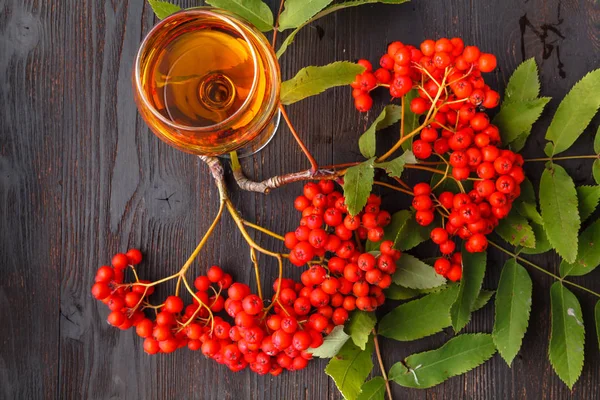 Vogelbeerentinktur Aus Alkohol Glas Konzept Handgemachter Alco — Stockfoto