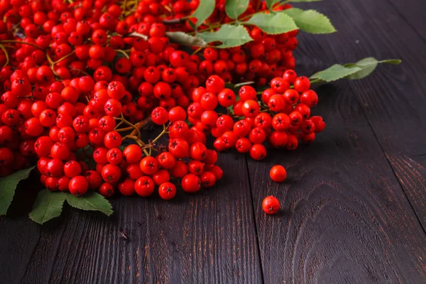 Rowan Berries Wooden Table — Stock Photo, Image