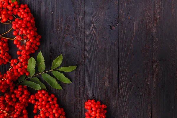 Rowan Berries Frame Wooden Table Fall Concept — Stock Photo, Image