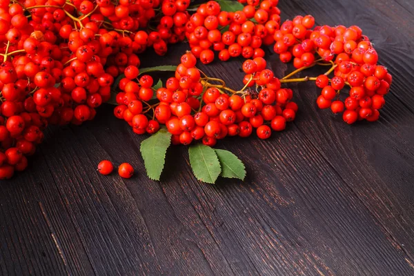 Rowan Berries Frame Wooden Table Fall Concept — Stock Photo, Image