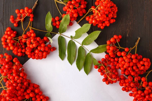 Seasonal Fall Concept Berries Frame Wooden Table — Stock Photo, Image