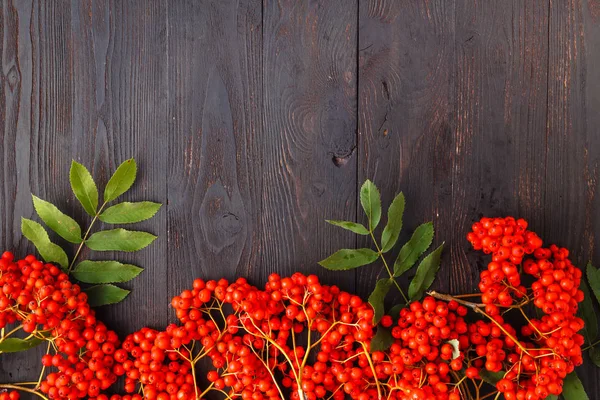 季節秋概念 木製のテーブル上のフレームの果実 — ストック写真