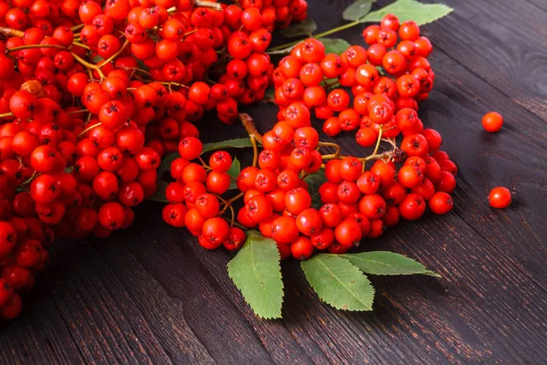 Rowan Berries Vintage Wooden Boards — Stock Photo, Image