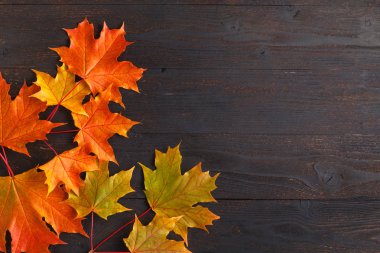 kelime ve yazıtlar, kopya alanı en iyi görünüm için sonbahar yaprak çerçeve