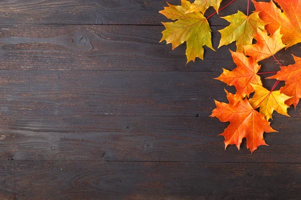 コピーのテキストのための領域を持つ木製の背景に落ち葉で秋のフレームの組成物 感謝祭 ハロウィン 季節秋コンセプト フラット レイアウト — ストック写真