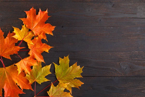 Herbstblattrahmen Für Wörter Und Inschriften Kopierraum Von Oben — Stockfoto