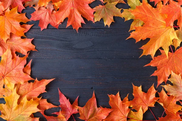 Herbstblätterkomposition Für Bilderrahmen Kopierraum — Stockfoto