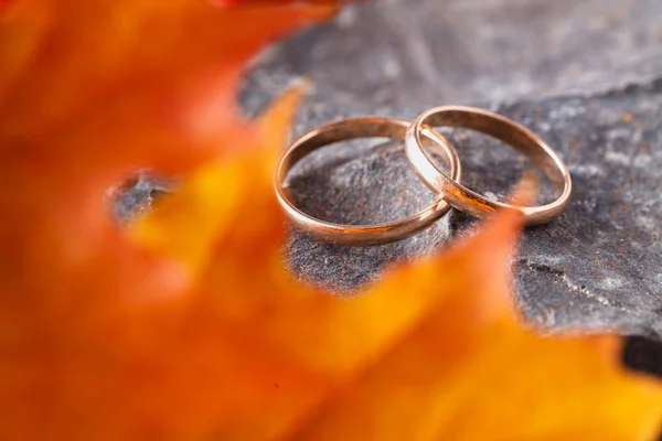 Anillos Boda Con Hojas Doradas Otoño Piedra — Foto de Stock