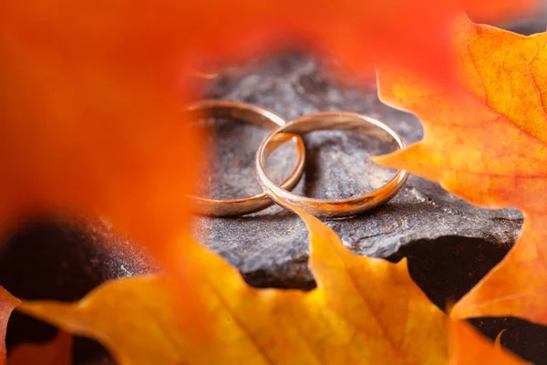 Anillos Boda Con Hojas Doradas Otoño Piedra — Foto de Stock