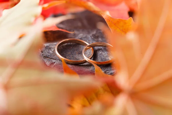 Svatební Dekorace Červené Listy Omšelého Kamene Snubní Prsteny — Stock fotografie
