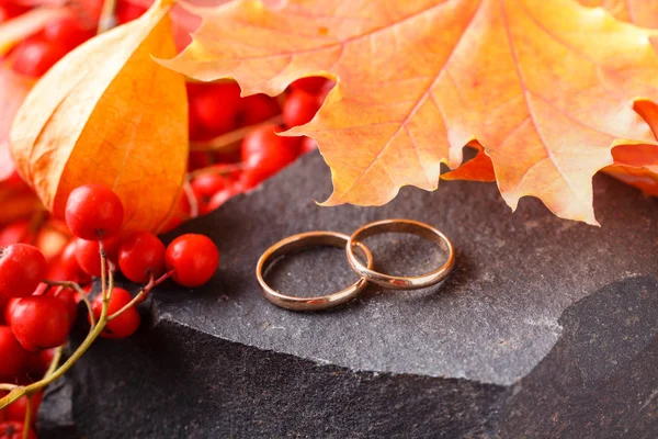 Δύο Δαχτυλίδι Γάμου Στο Παλιό Κίτρινο Foilage — Φωτογραφία Αρχείου