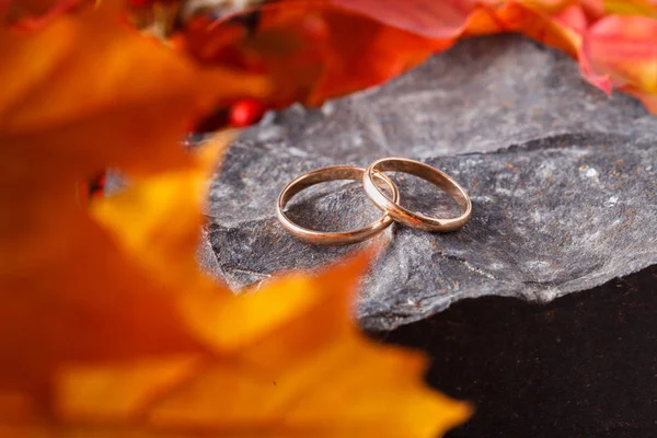 Dua Cincin Pernikahan Foilage Kuning Tua — Stok Foto