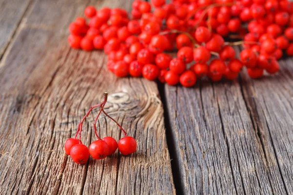 Herbst Hintergrund Mit Ebereschenzweig Auf Altem Holztisch — Stockfoto