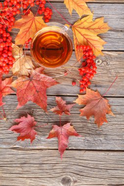 Sonbahar yaratıcı sanat kavramı, akçaağaç masada bırakır.