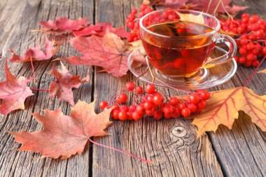 Sonbahar yaratıcı sanat kavramı, akçaağaç masada bırakır.