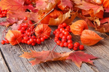 Kopya alan arka plan ile sonbahar çiçek düzenleme yapmak sarı yapraklar ve pembe çiçekler