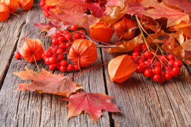 akçaağaç yaprakları ahşap arka plan köşesinde kazık