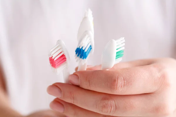 Χέρι Που Κρατά Τέσσερις Οδοντόβουρτσες Διαφορετικών Χρωμάτων — Φωτογραφία Αρχείου