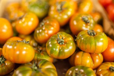 Organik kusurlu domatesler yerel çiftçi Market