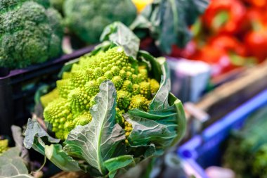 yeşil lahana yaprağı, demet, loca satış kış sebze