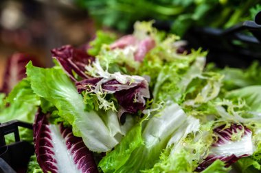 yerel çiftçilere piyasa İtalya farklı yeşil salata