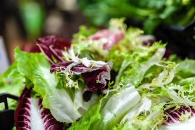 yerel çiftçilere piyasa İtalya farklı yeşil salata