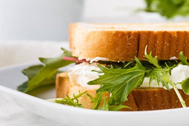 Rustik ahşap masada keçi peyniri, avokado, roka ve güneş kurutulmuş domates ile sağlıklı tost