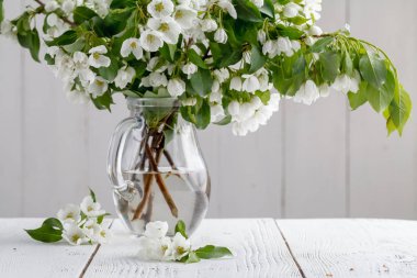 Vazoda bahar elma ağacı çiçekleri buketi. Romantik çiçek 