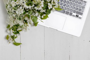 Ahşap arka planda elma çiçeği. Boşluğu kopyala